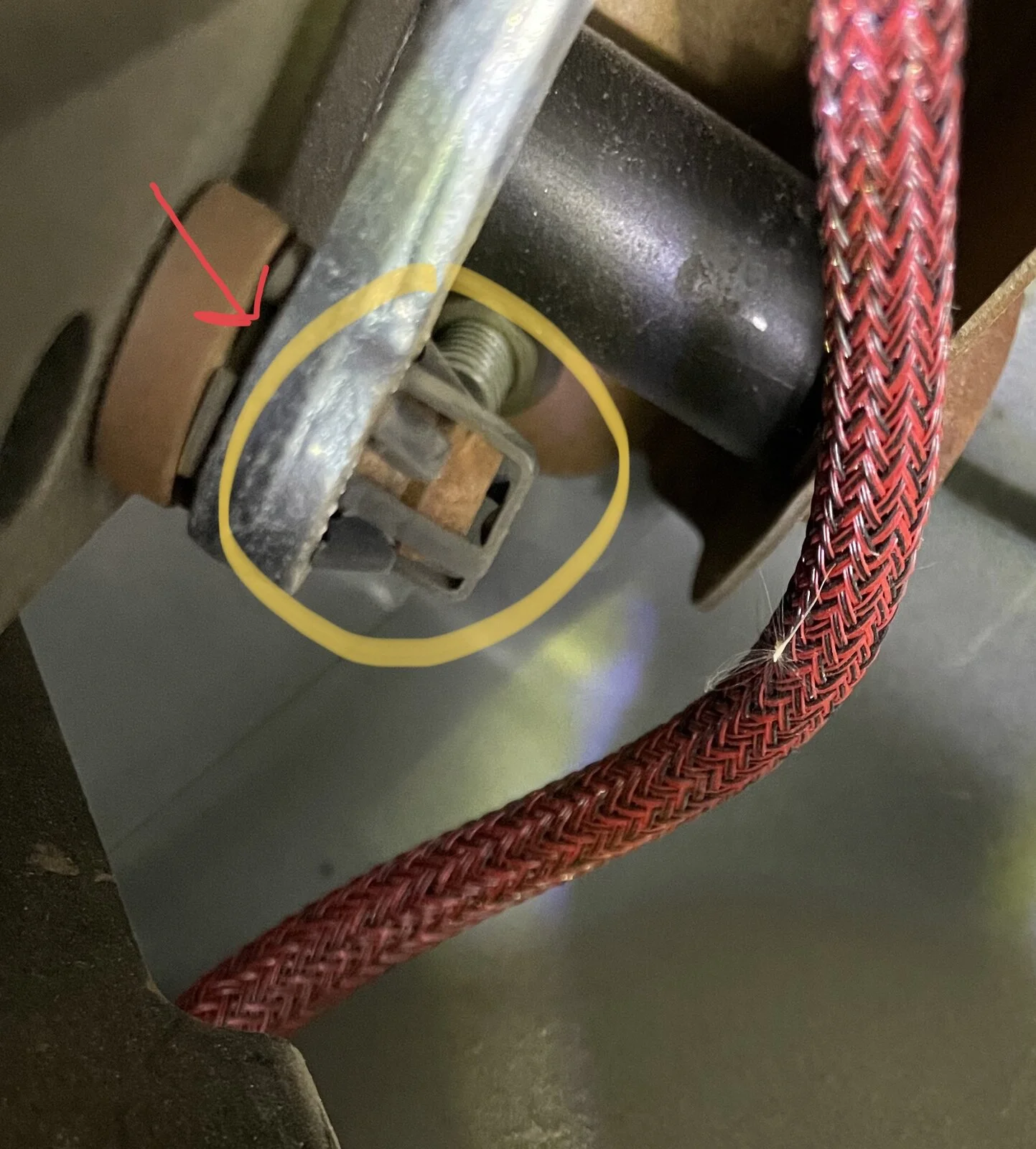 6CF1DC34-57DC-47D8-9053-E6D5DD466CC7.jpeg