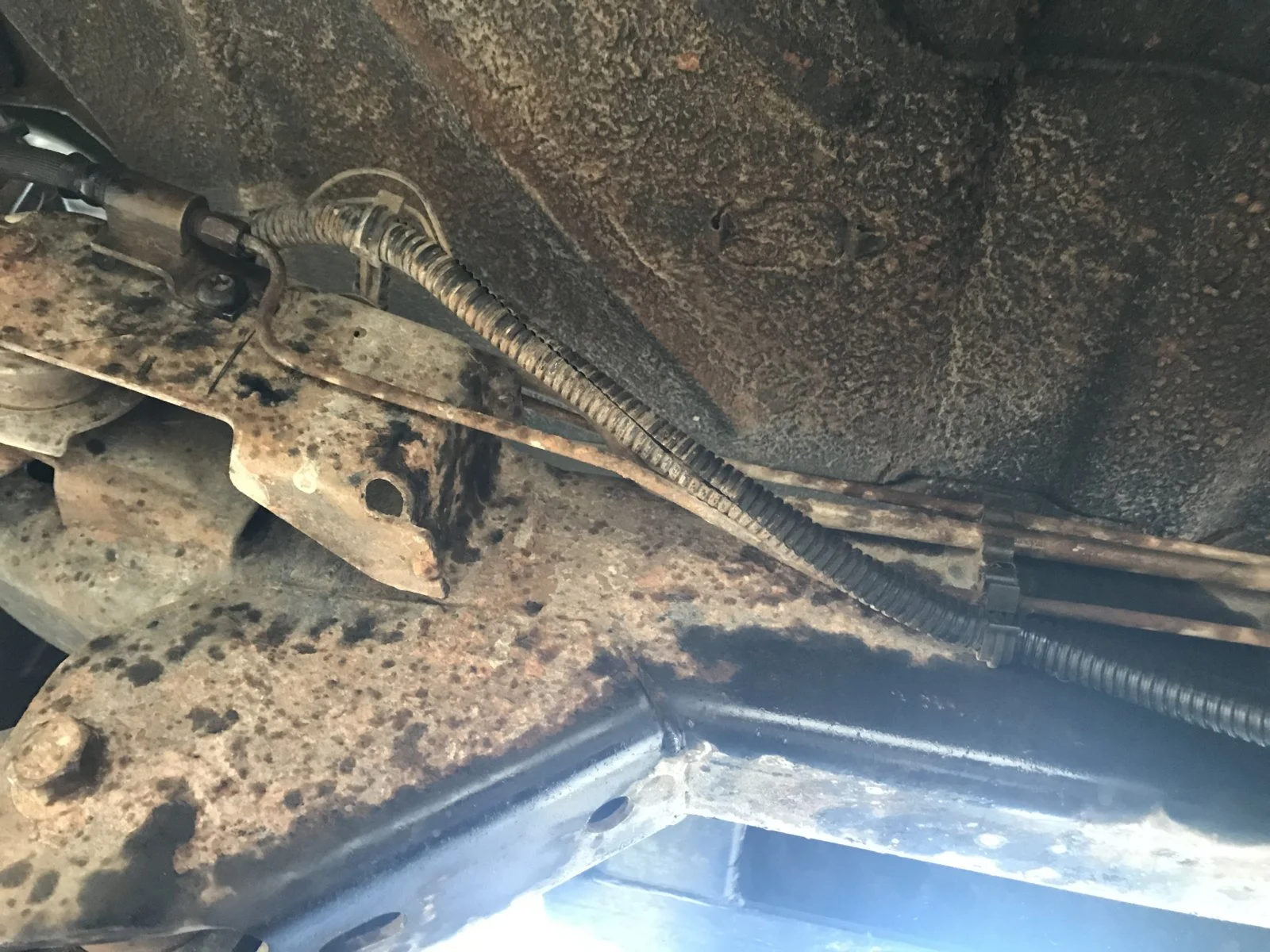 6D0DAF00-984A-45BA-BD86-175E6DF9BCF9.webp