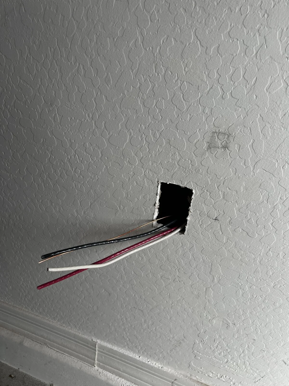 6D395C0D-2899-4CA2-A82E-1A3BF07E9D36.webp