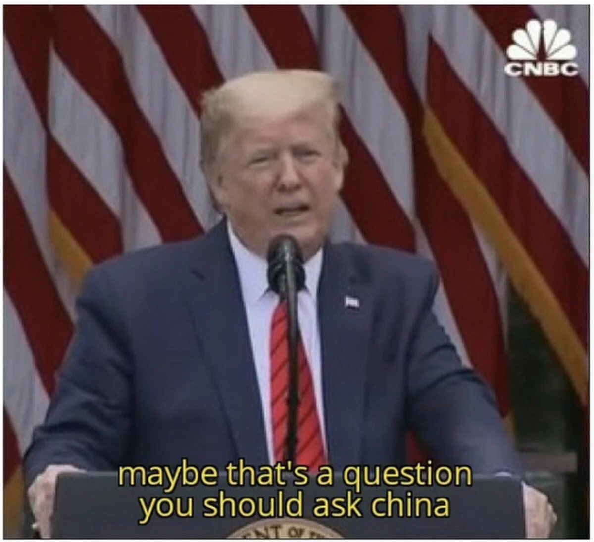 6F9B78CA-EC02-4F9E-BA7F-305B1422B8FE.jpeg