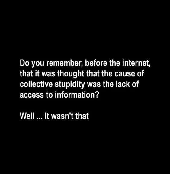 72e5581472405c40.webp