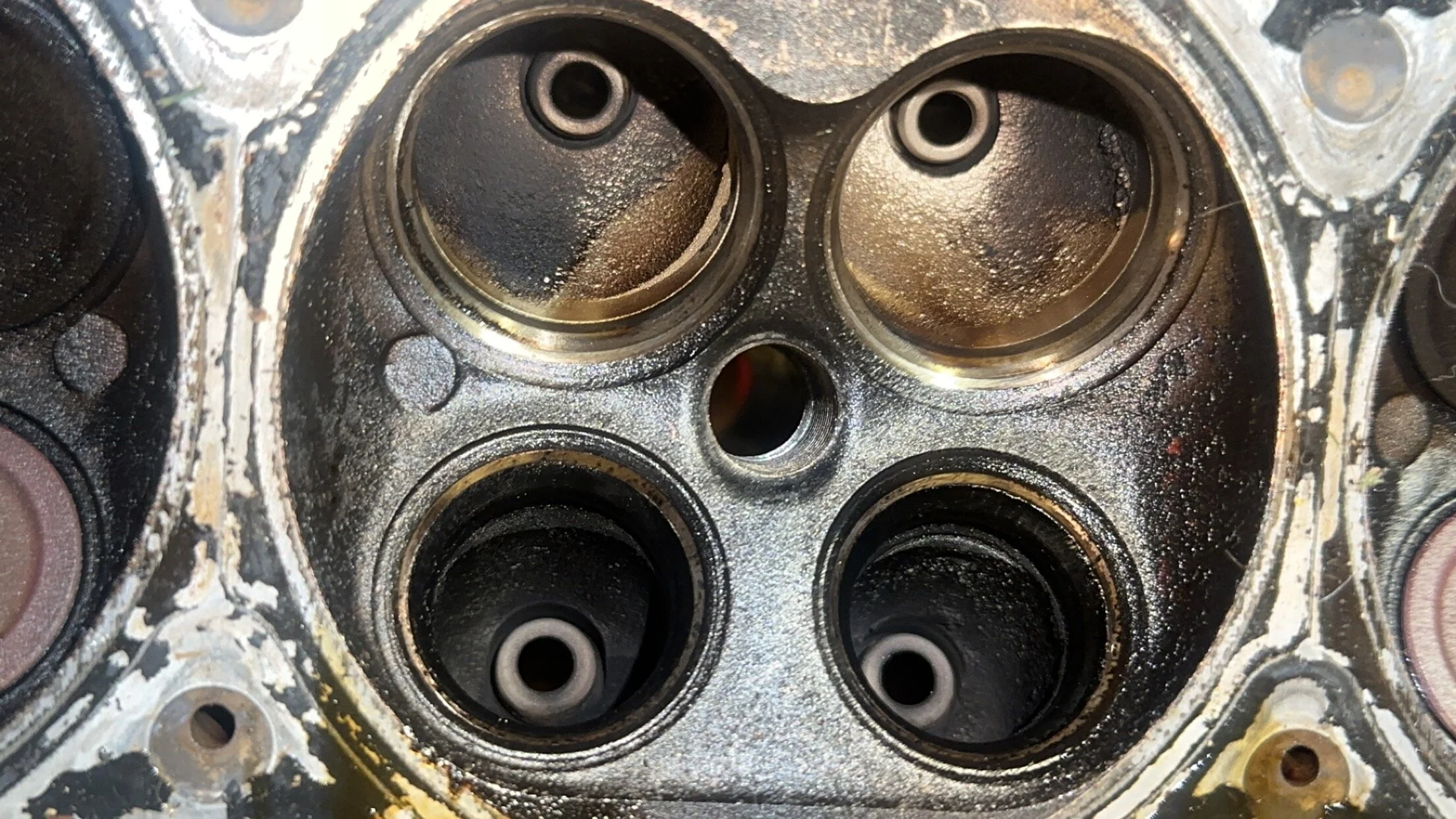 86BCDE95-AF4E-47D1-9C36-9B3B3A0FF38B.webp