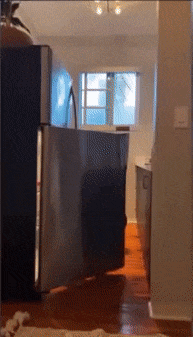 87329993.gif