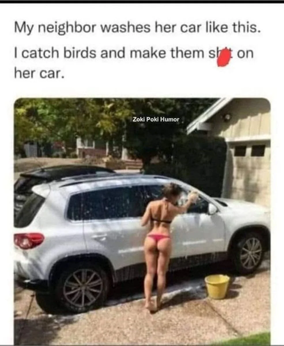 87524511.jpg