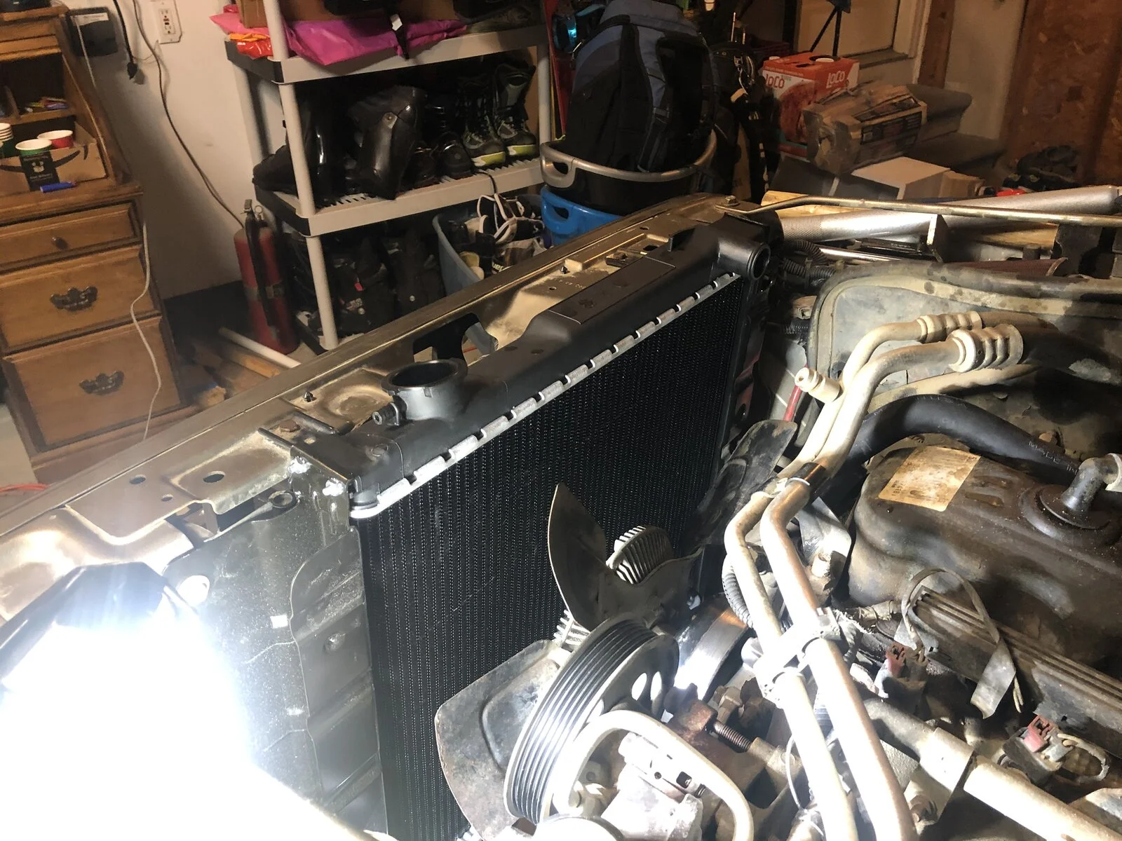 970F2550-12B4-4C19-BF2E-E6C14E58C9EA.webp