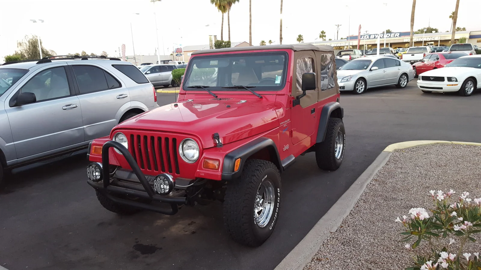 98Tj.webp