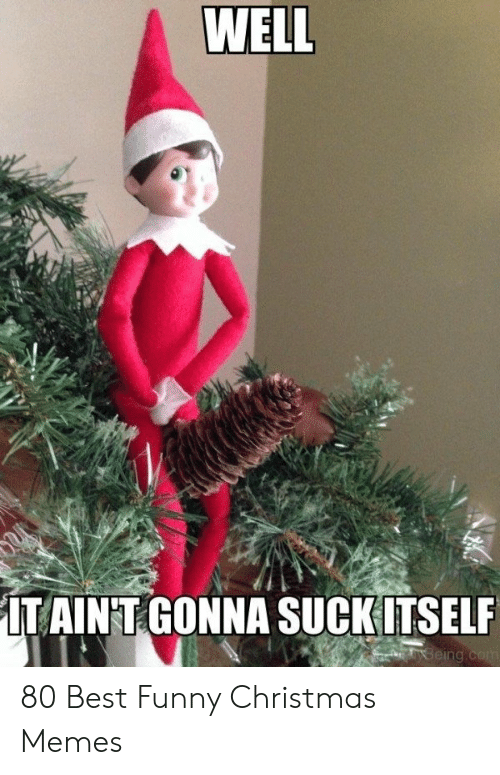a-suckitsel-80-best-funny-christmas-memes-54257752.png