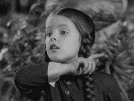 A53D8031-E2EC-4EF7-919C-3D0BCEA8F031.gif