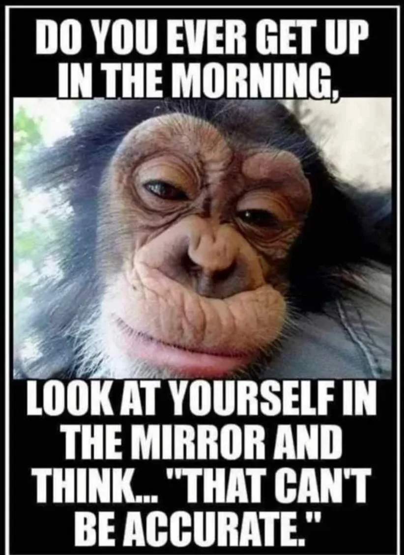 Accurate.webp