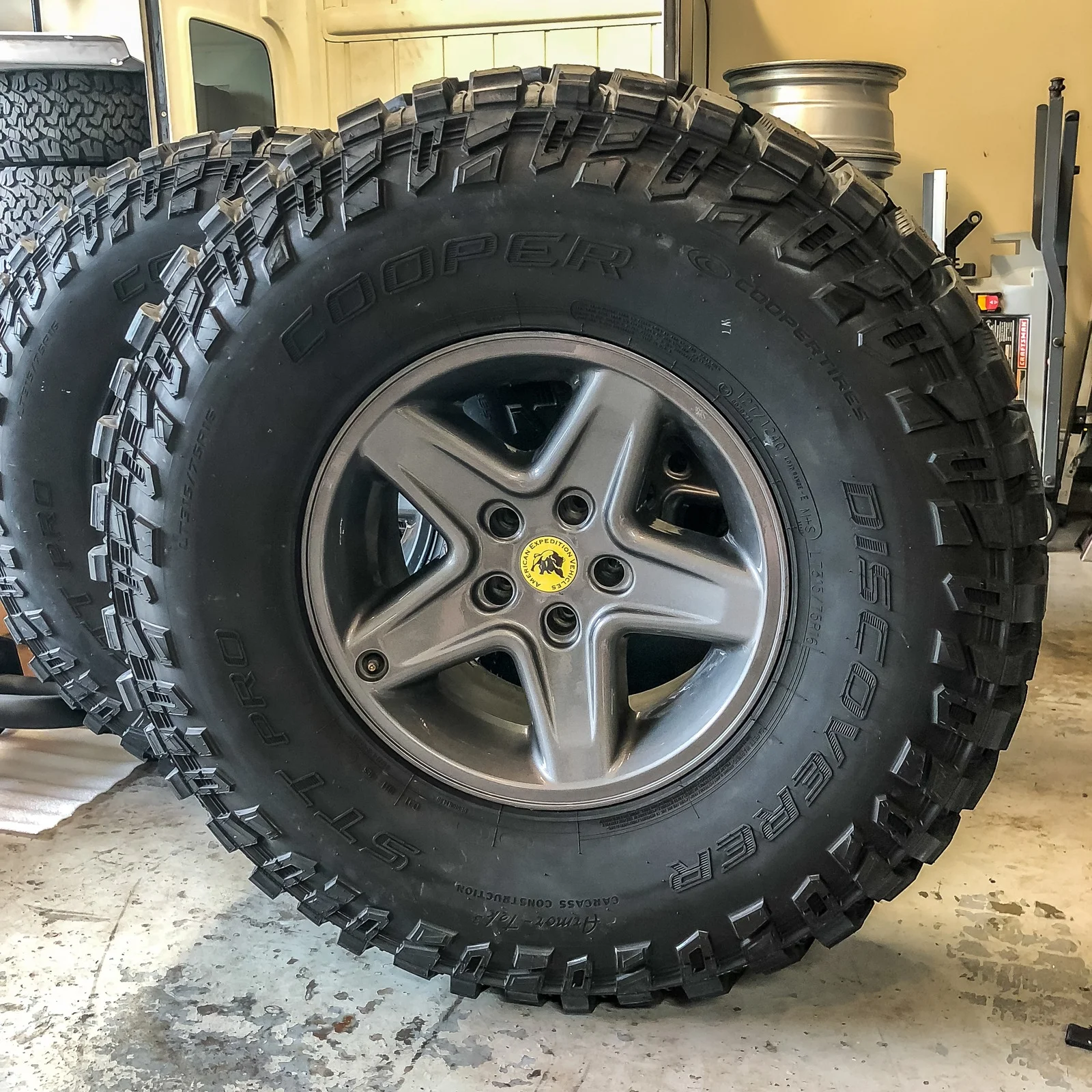 aev_bridgers_2.webp
