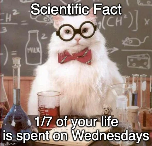 af7f3w.webp