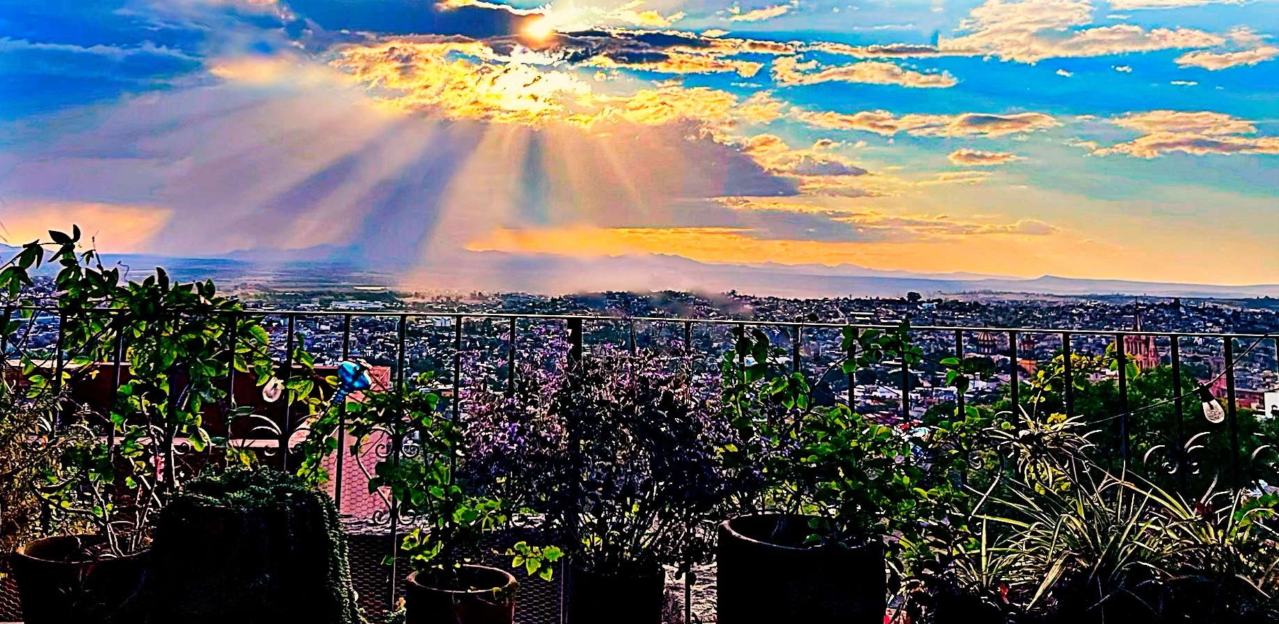 After the rain in SMA.webp