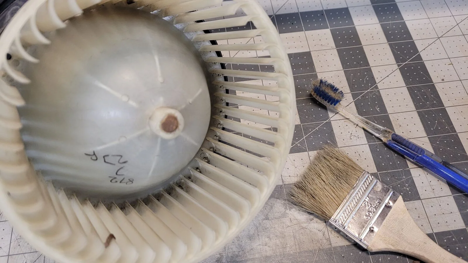 After_Brushing.webp