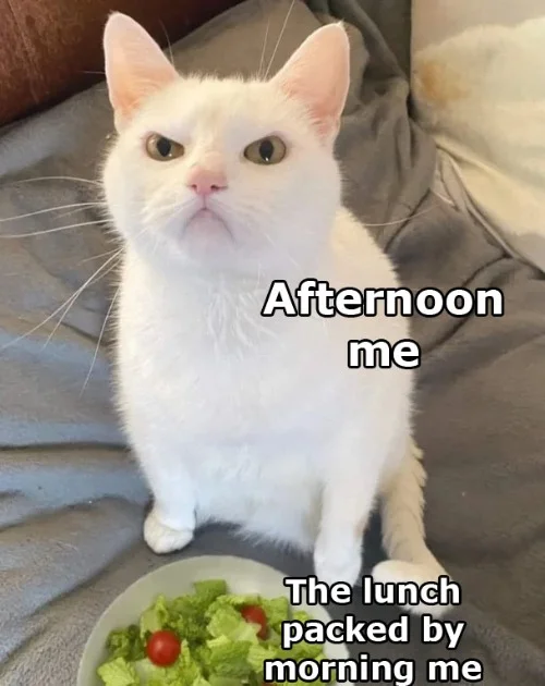 Afternoon Me.webp