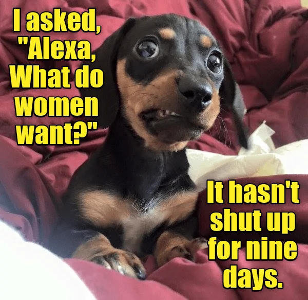 alexa.webp