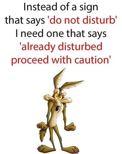 already Disturbed.webp