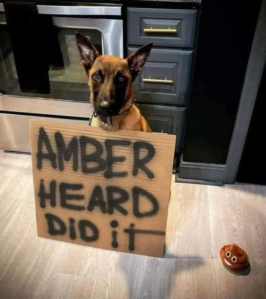 AmberHeard.jpg