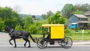 Amish Buggy.jpg