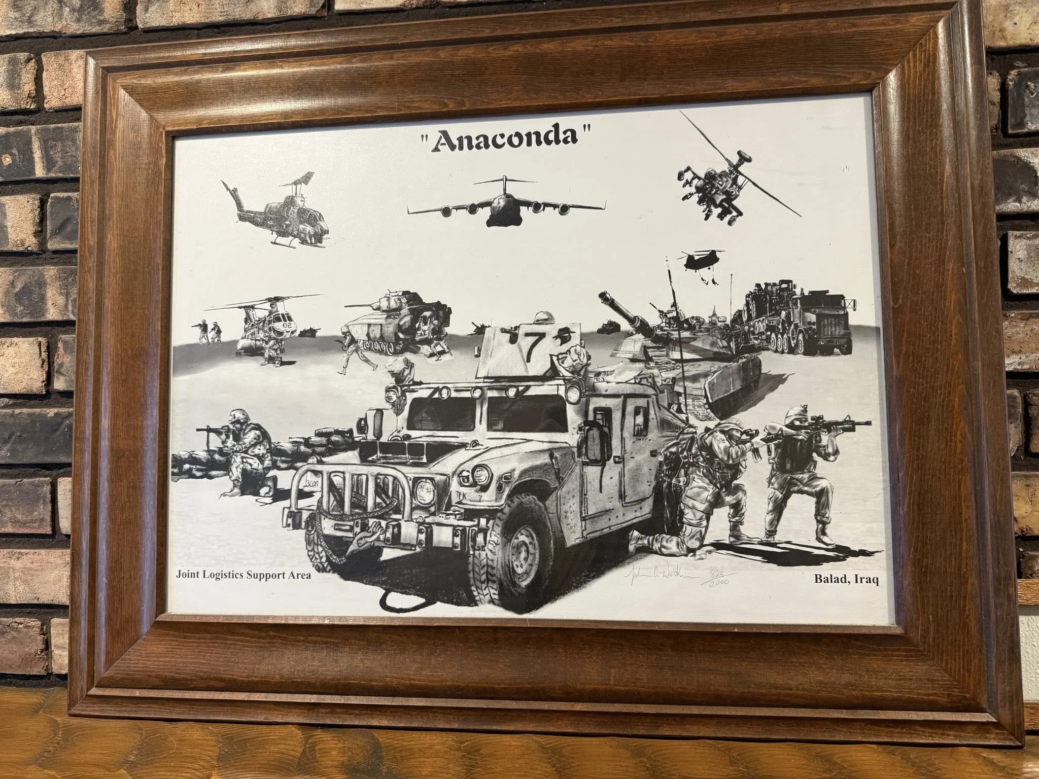 Anaconda.webp