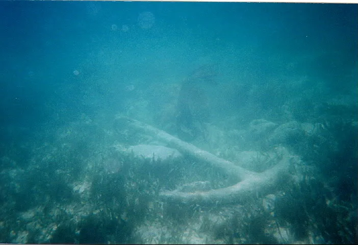 anchor (1).jpg