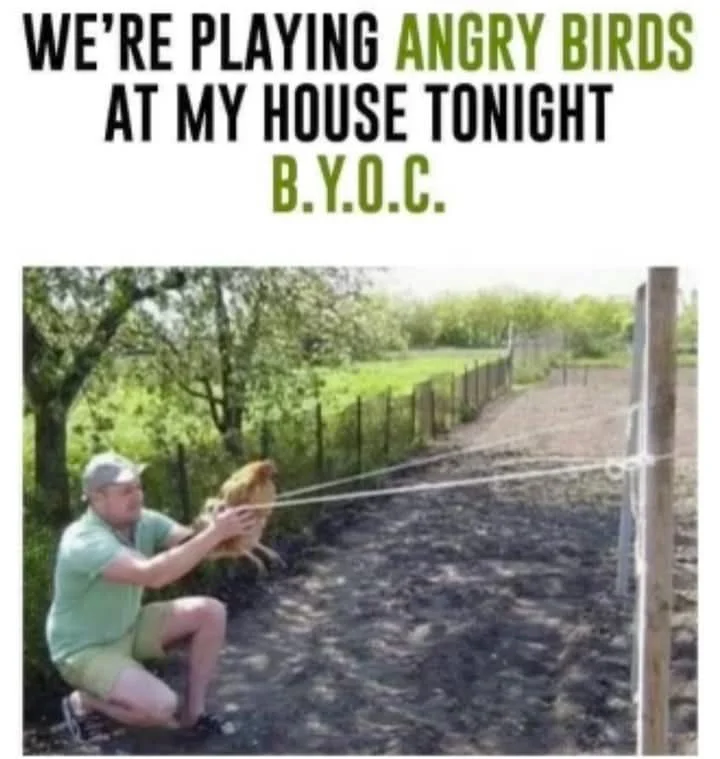 Angry Birds.webp