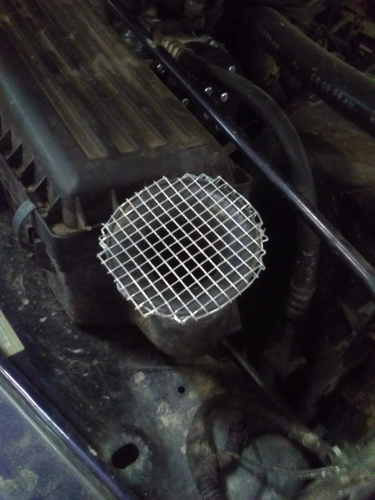 anti chipmunk screen.webp