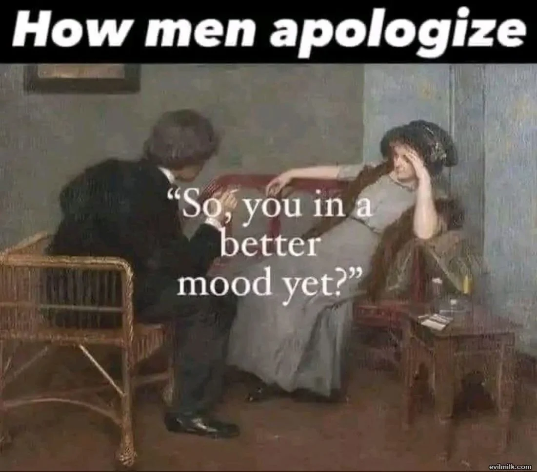Apology.webp