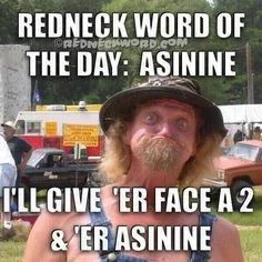 asinine.webp