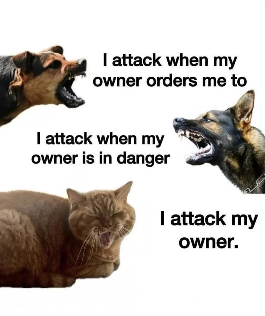 Attack.webp