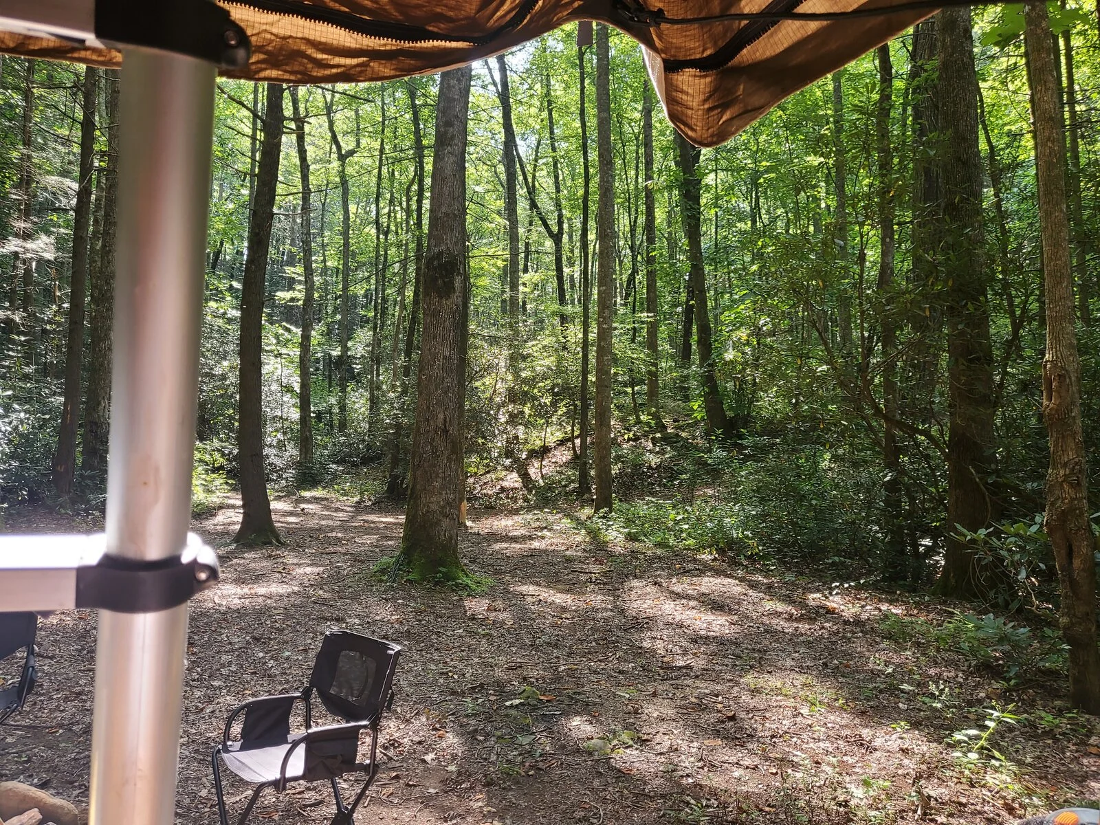 Aug 2023 camp 1.webp