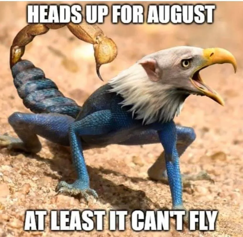 august.webp