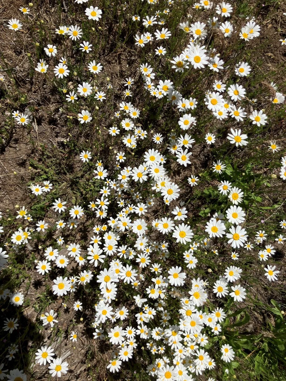 aYcNI3c.webp