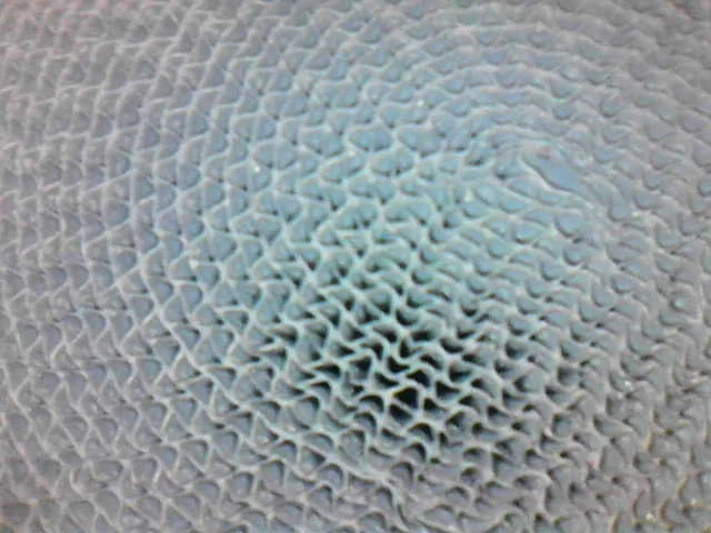B4BD2CC1-D477-49F9-B9E7-56FFB8CF9841.webp