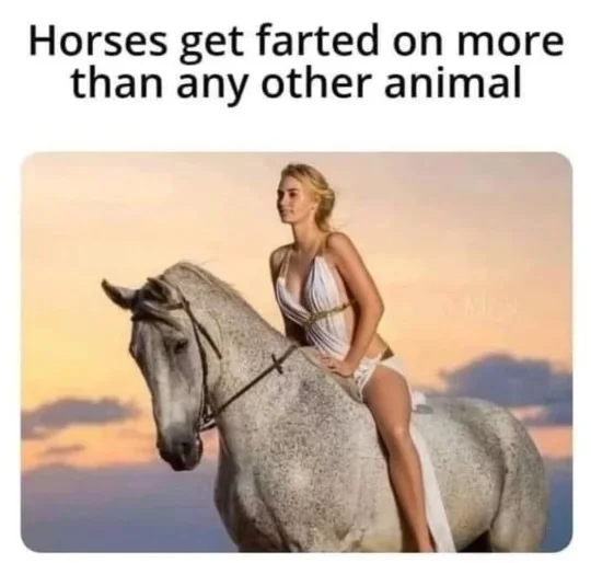 b755b0f2fa2bb19d.webp