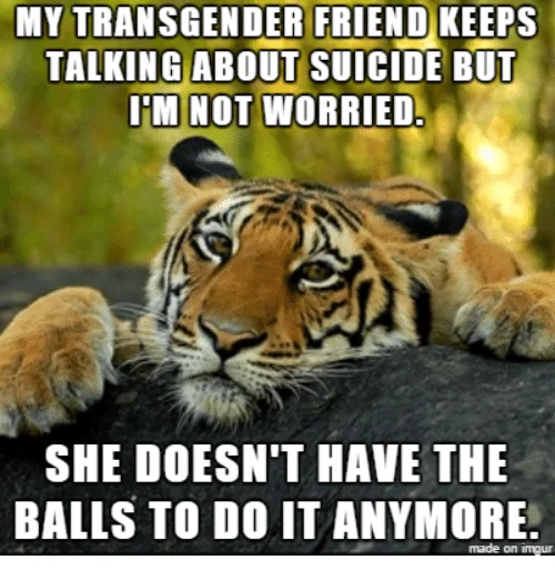 balls.webp