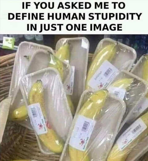 banana-package-define-human-stupidity-one-image.jpg