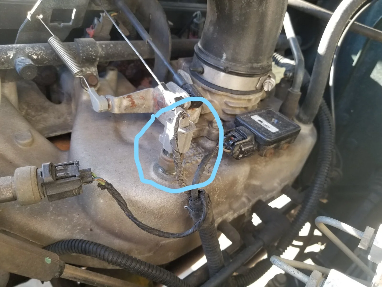 Bank 1 Sensor 1.webp