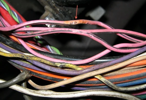 bare-wire-short1.webp