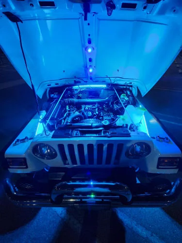 BB hood LED.jpg