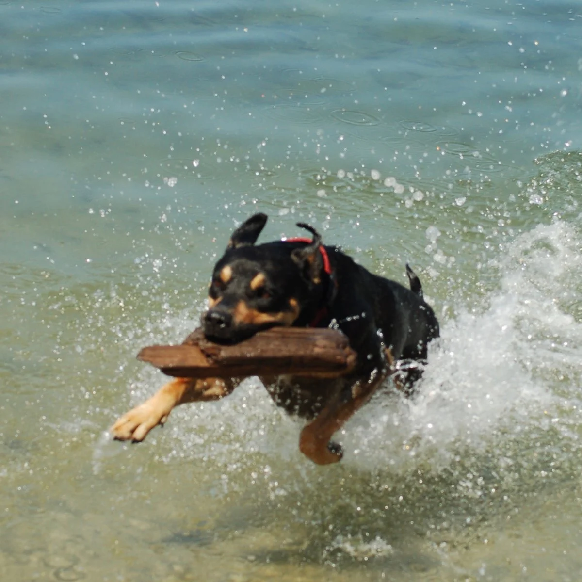 beach 003.webp