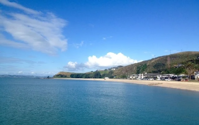 beach 2.webp