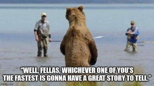 bear-fisherman-fastest-great-story-to-tell.jpg