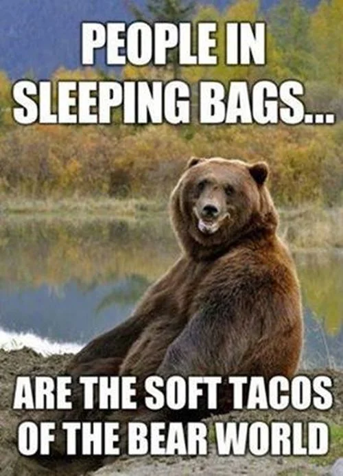 bear_soft_taco.webp