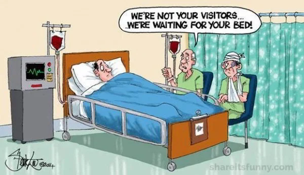 bed.webp