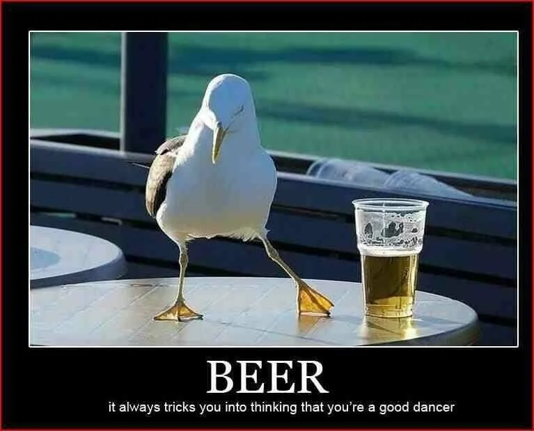 Beer Dancer.png