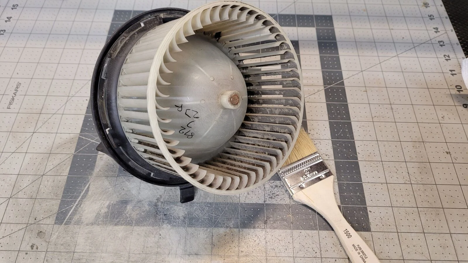 Before_Cleaning.webp