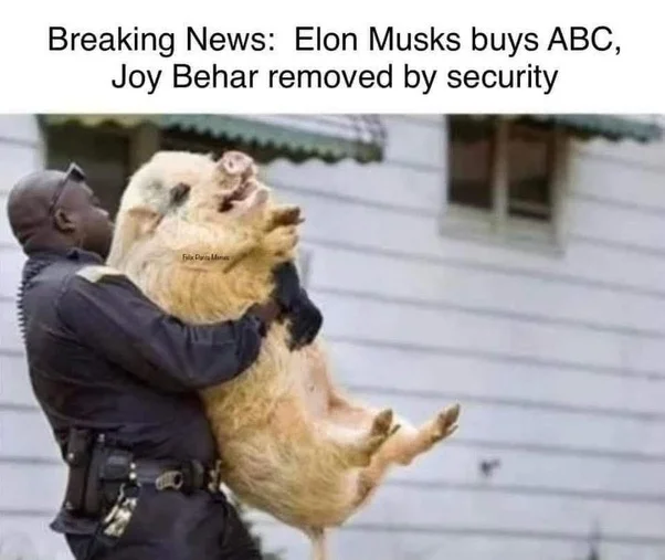 Behar.webp