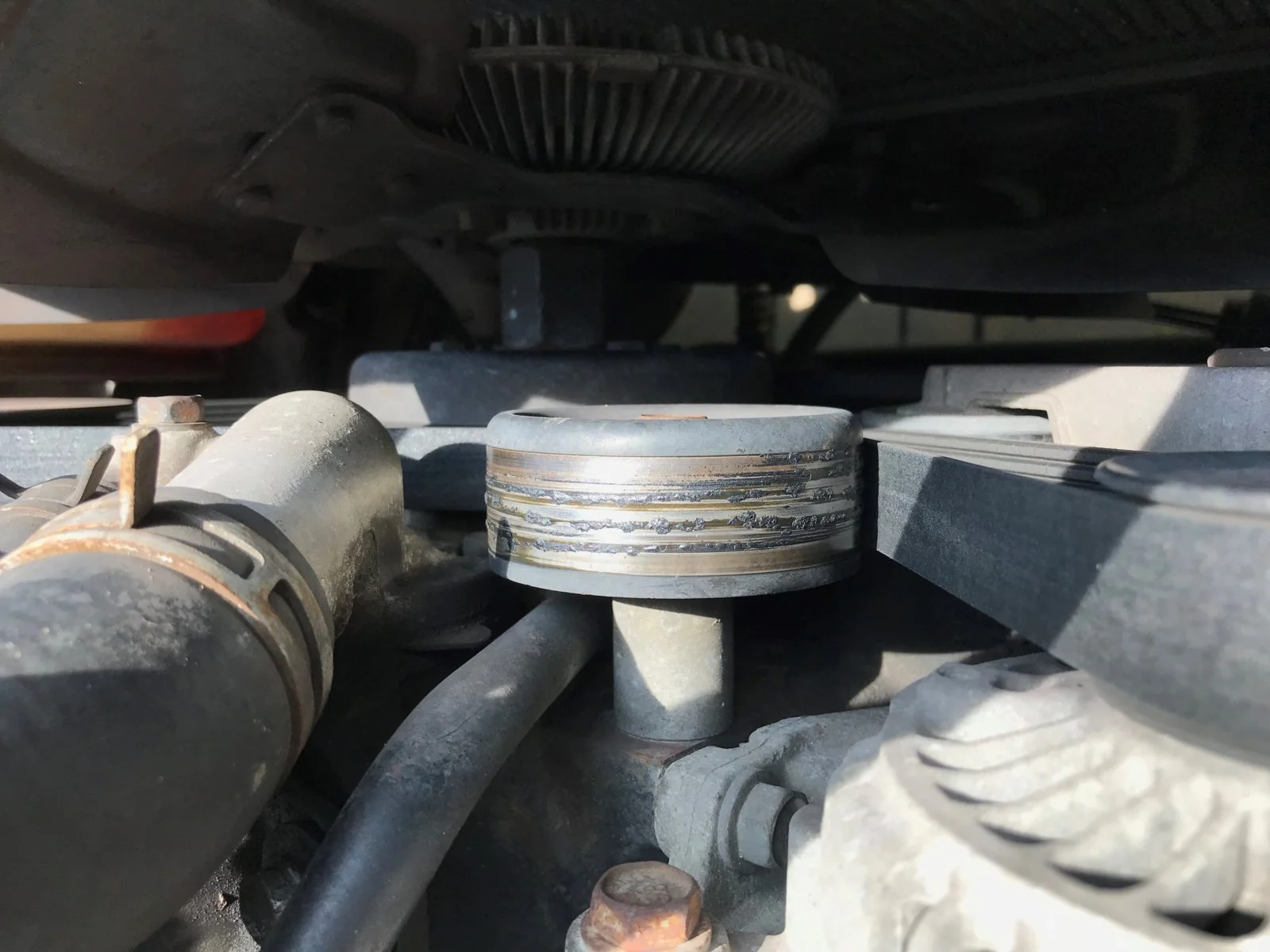 Belt 2.webp