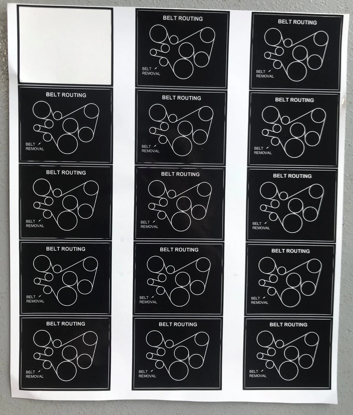 Belt Labels.jpg