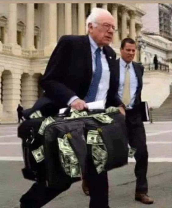 bernie.webp